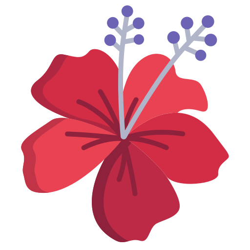 Experience flower
